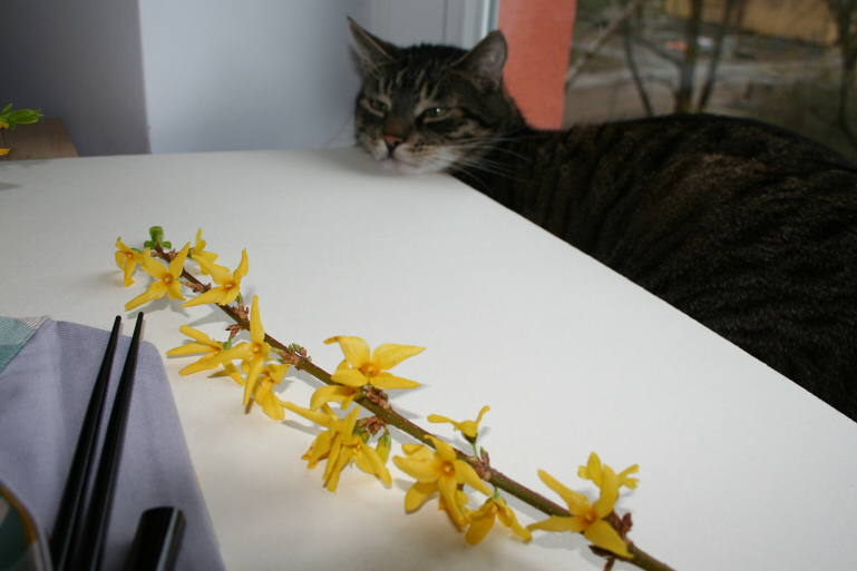 Arbeitsplatzfoto 4